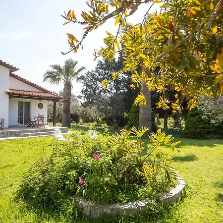 Vicki's House 2-bedroom With Yard And Garden Case de vacanță *